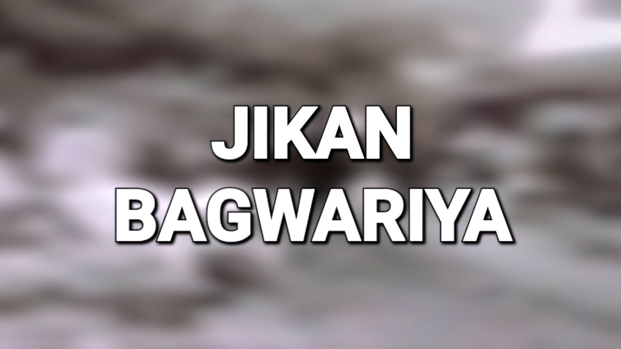 GANGIN JIKAN BAGWARIYA - PART 2