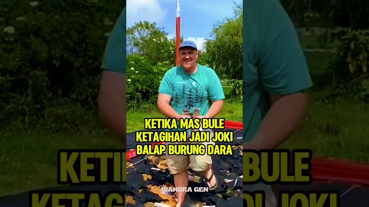 Ketika mas bule ketagihan jadi joki balap burung dara #shorts