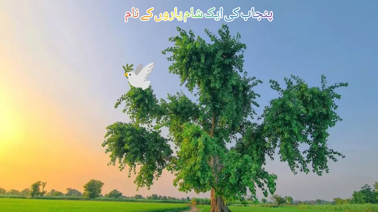 Khushi ke Chand lamhe Doston ke sath 💞