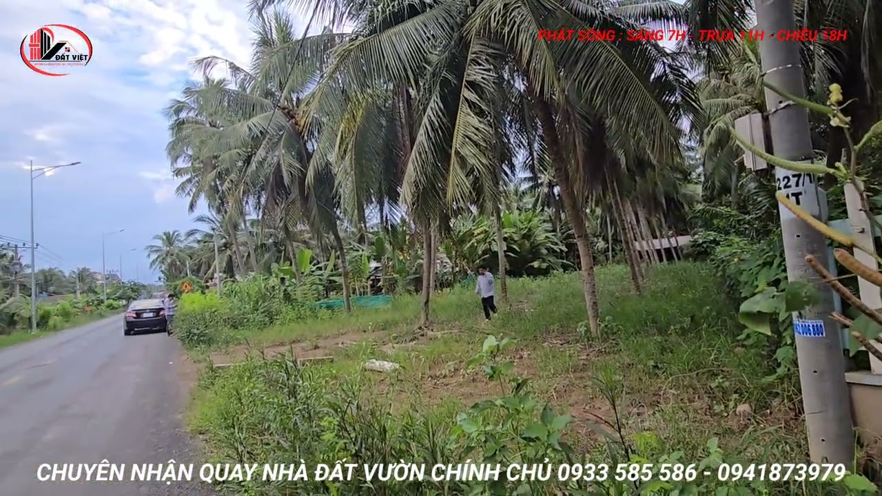 MS:25319 Miếng vườn dừa đang có huê lợi sẵn  - Mặt tiền tỉnh lộ 877B vừa ở vừa buôn bán rất tiện.