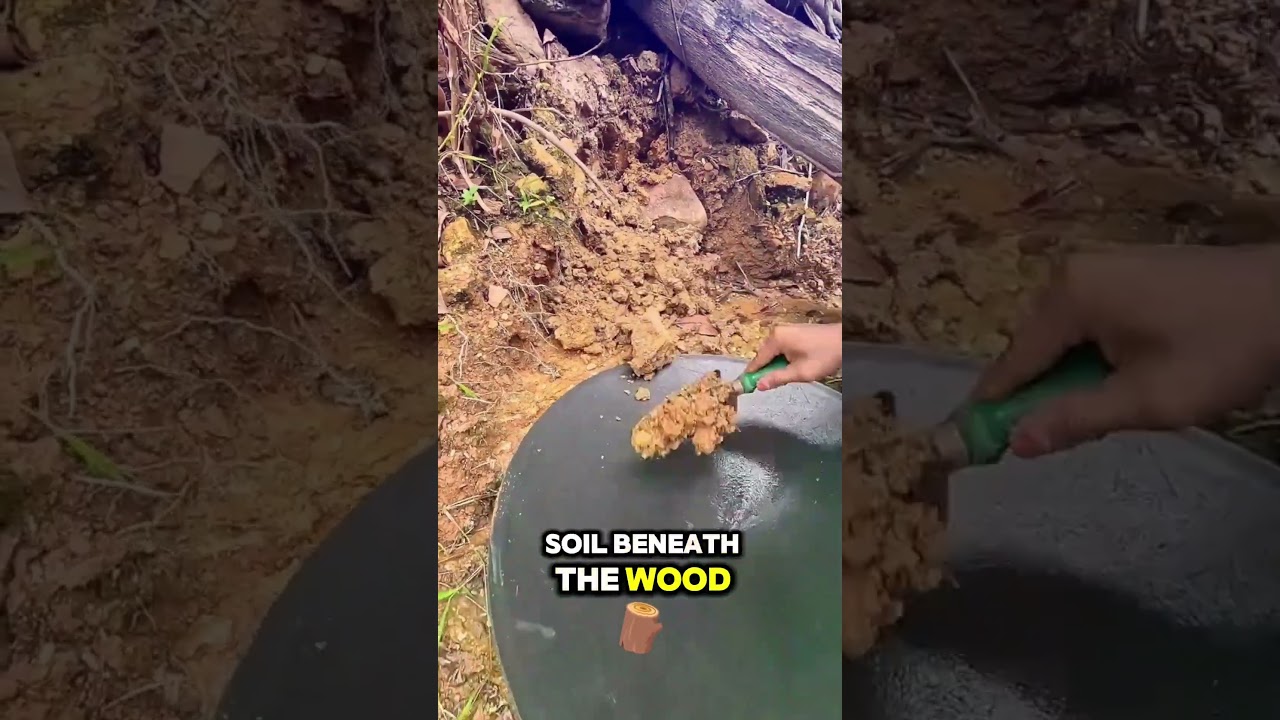 He Found GOLD Under a Log After the Flood!