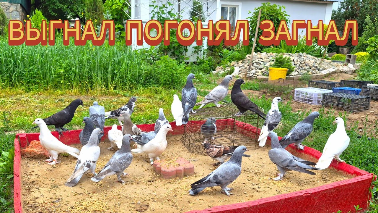 Молодёжь Турецкой Таклы. 18 день гона. НЕБЕСНЫЕ МОМЕНТЫ. 