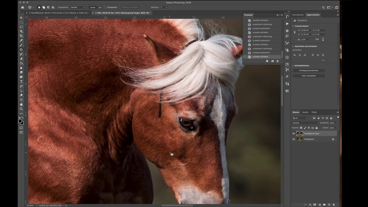 Quicktipp 2   Einfache Halfterretusche mit Photoshop