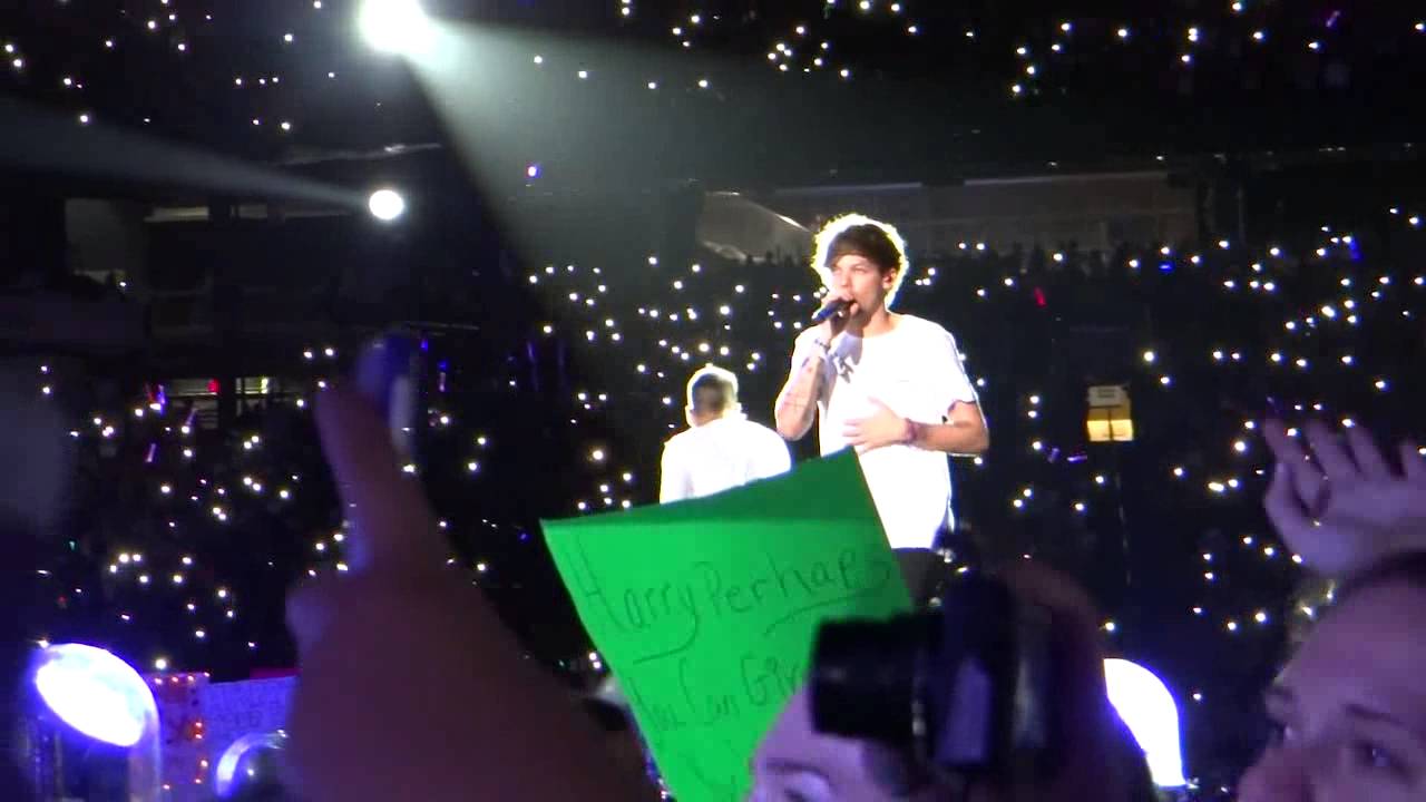 One Direction - Metlife Stadium - Dfwyb