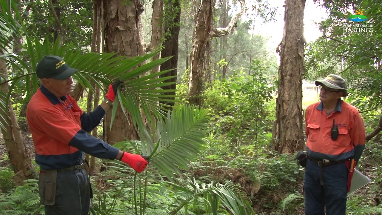 Biosecurity, Invasive Weeds, Animal and Plant Pests