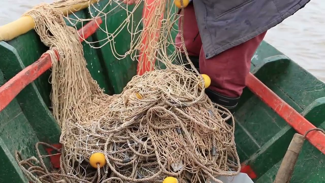 Pesca Tradicional. Mallonero