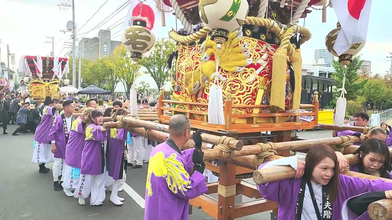 2025.11.2 宇多津太鼓台祭り 一斉担き上げ