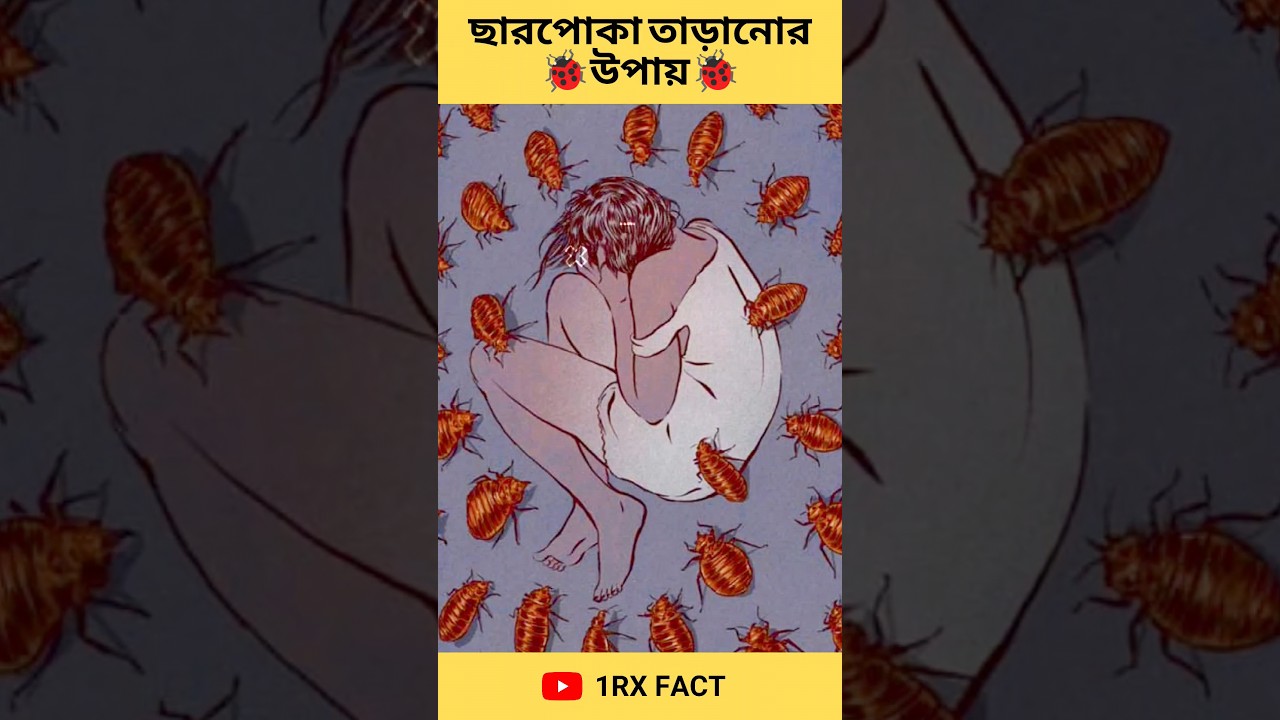 ছারপোকা তাড়ানোর উপায়🐞🐞Amazing Facts Interesting Random Facts #Shorts#Short #YoutubeShorts #1rxfact