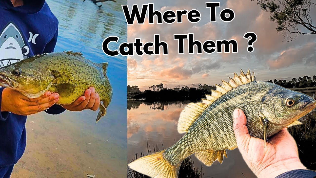 Melbourne's TOP 5 FISHING Hot-Spots!! Fresh Water Fishing Locations