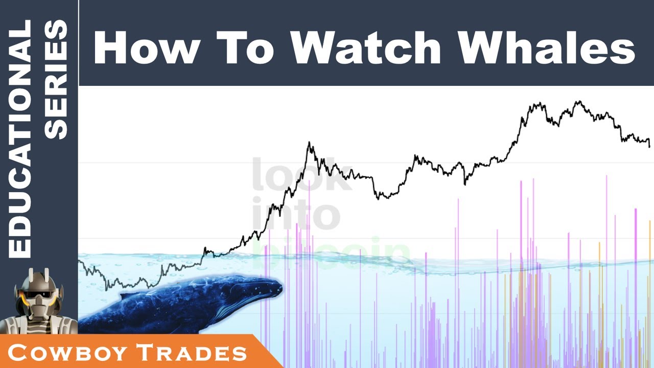 How To Watch Bitcoin Whale Wallets