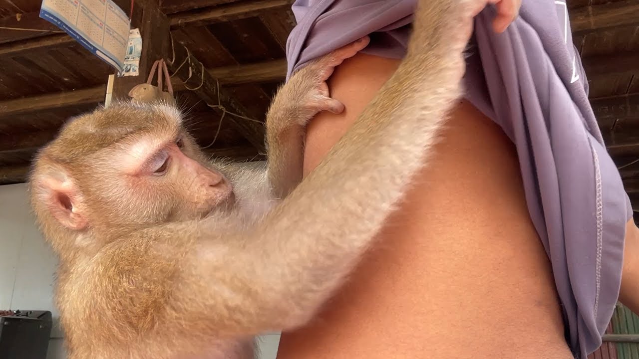 Ohh My Gosh!! Zueii Want To Grooming My Armpit Hair
