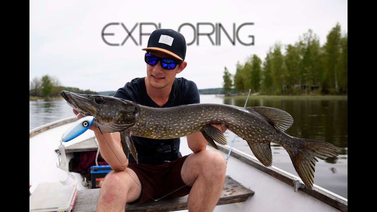 Searching In The Middle Of Sweden - #1 Exploring