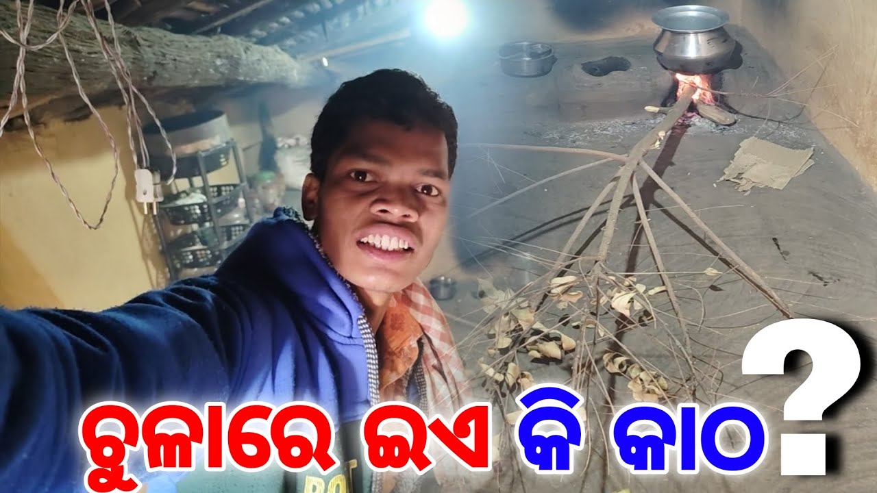 ଚୁଳାରେ ଇଏ କି କାଠ? କାଠ ନଥିଲେ ବାଙ୍ଗୀ ଥିବା ଗଛ ଢାଲ ଆଣିଲେ ମାଁ 😍