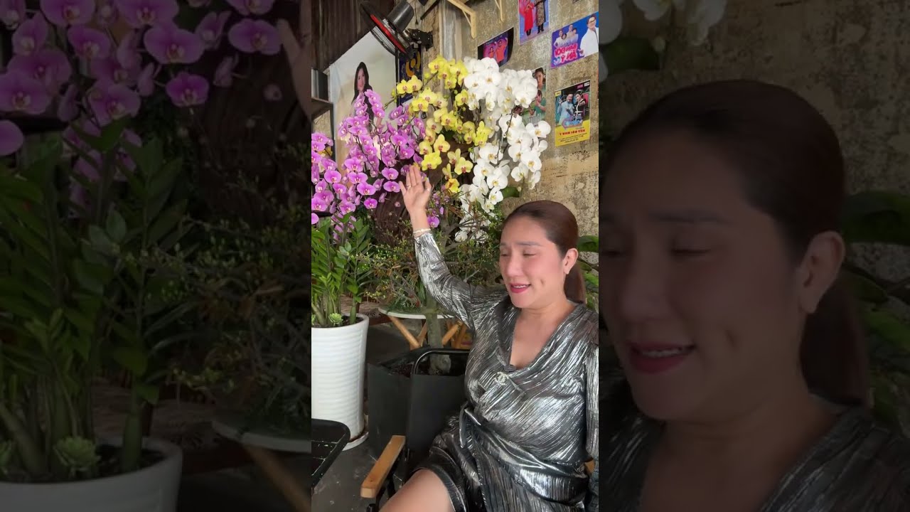 Hồi xuân là gì!?