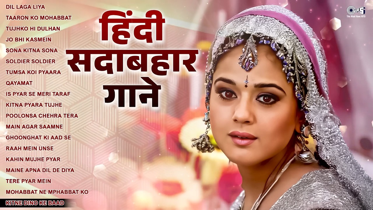 हिंदी सदाबहार गाने | 90s Hits Hindi Song | Hindi Gane | Old Songs | 90s Love Songs | Sadabahar Gane