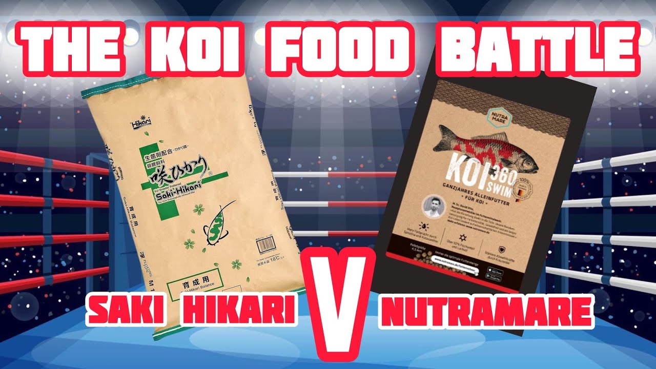 WARNING - Content may offend! Nutramare vs Saki Hikari Honest review - Switching koi food £££’s