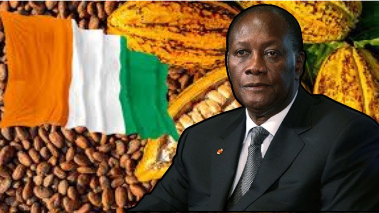 CACAO EN DANGER : LA CÔTE D’IVOIRE AU BORD DU CHAOS ?