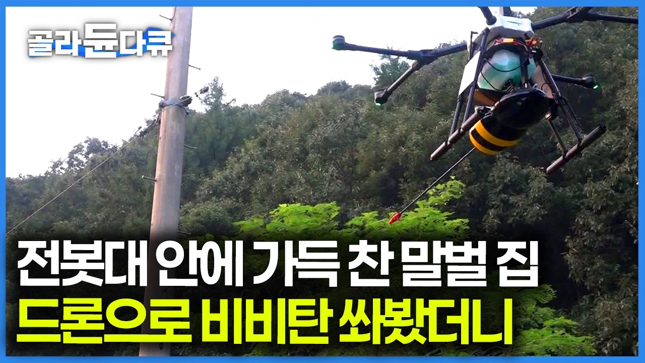 꿀 농사 말아먹기 직전이다, 자식처럼 키운 꿀벌 납치해가는 말벌 집을 드디어 찾아냈다｜극한직업｜#골라듄다큐