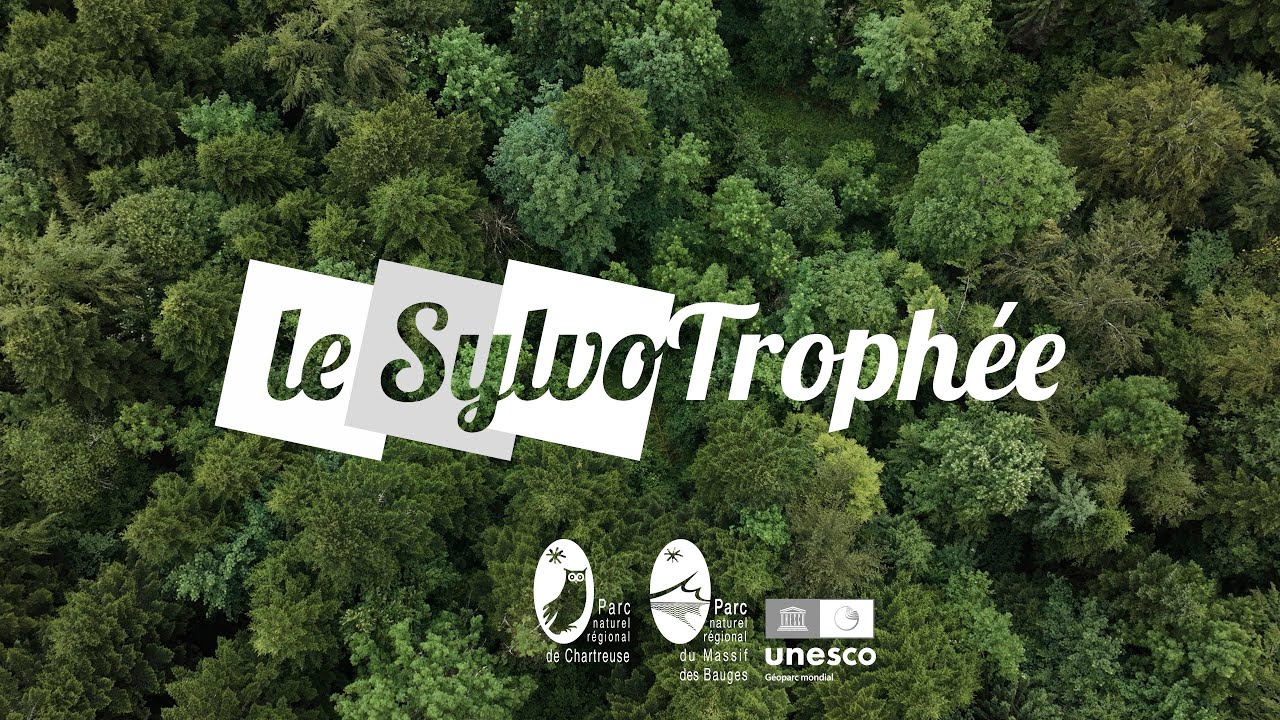 Récompenser les gestions forestières exemplaires : 1ère édition du Sylvotrophée | Bauges/Chartreuse