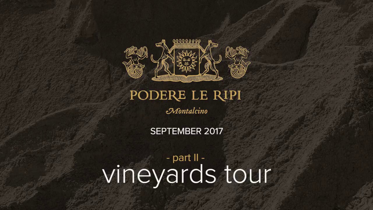 Vineyards tour with Francesco Illy, owner of Podere le Ripi | Podere le Ripi