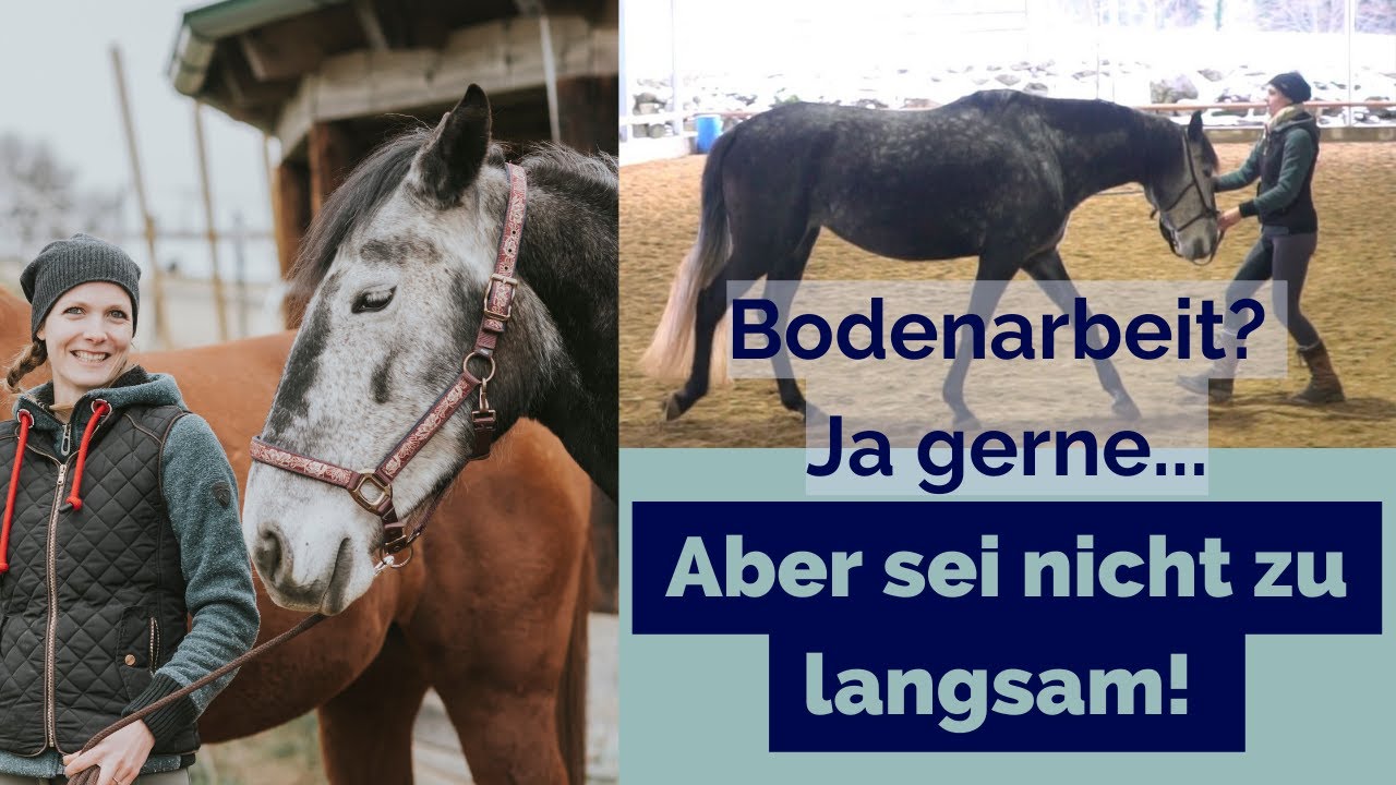 Brems dein (großes) Pferd nicht aus in der Bodenarbeit