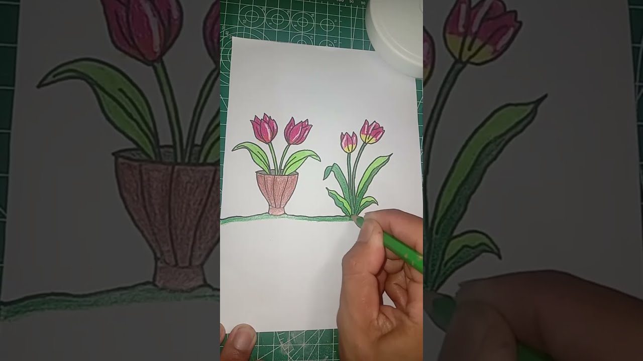 Gambar bunga tulip