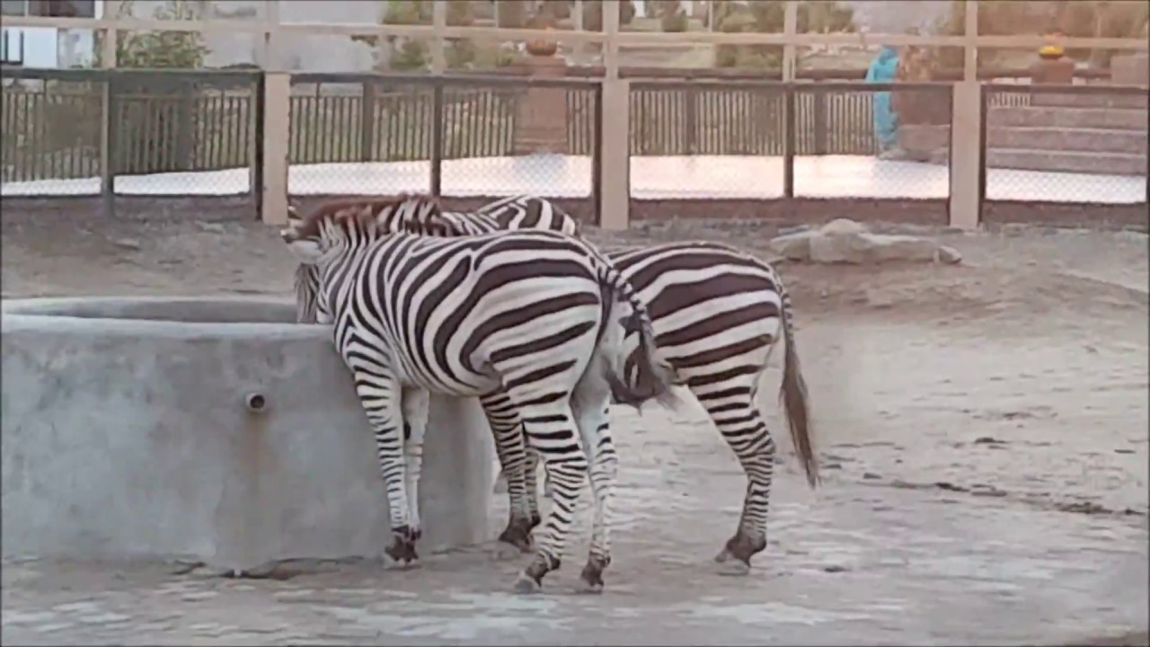 Visit to Grand City & CITI Housing Theme Park : Kharian and Jhelum