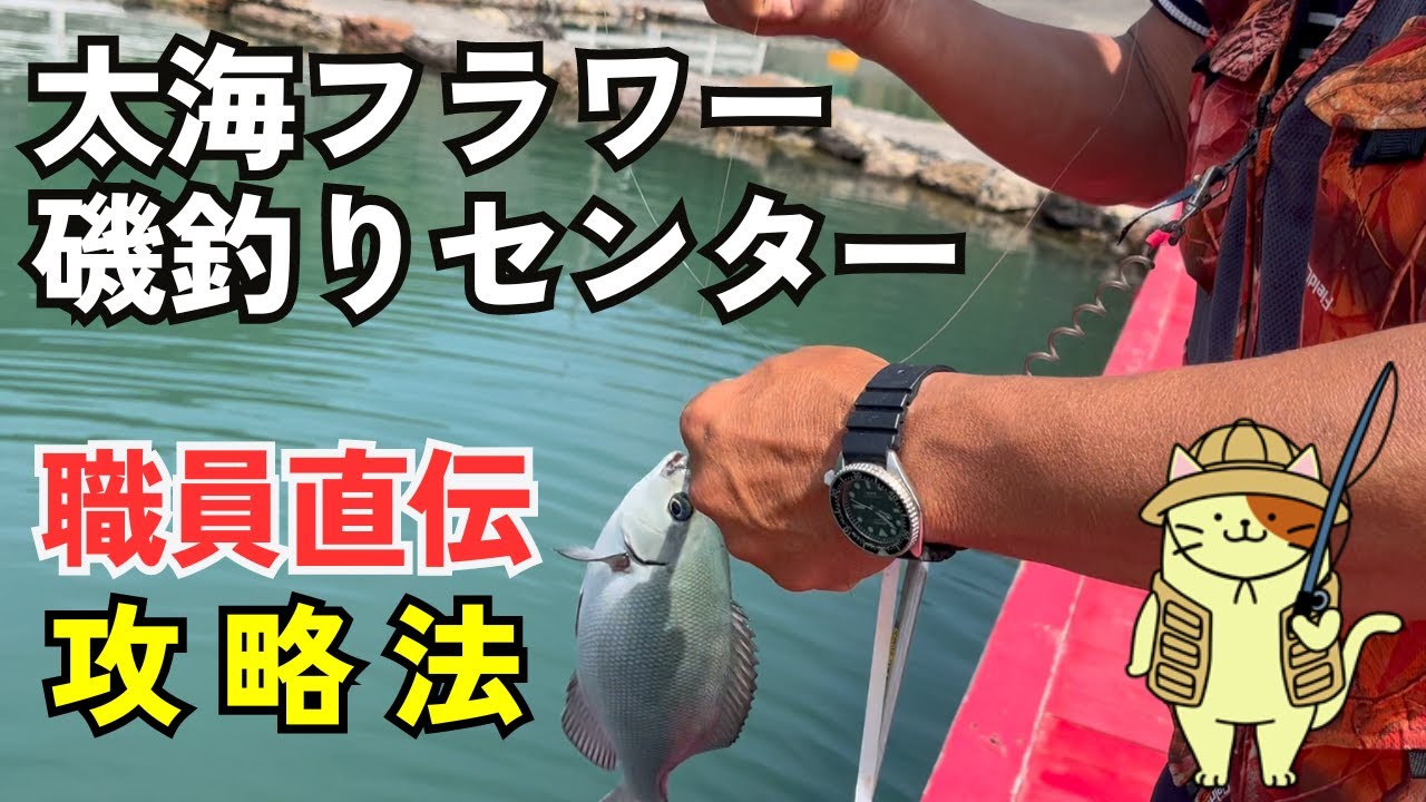 鴨川「太海フラワー磯釣りセンター」徹底攻略｜貸切状態の海の釣り堀で、職員さんから絶対に釣れる方法をマンツーマン指導！最高難易度のあの魚もついにヒット！！