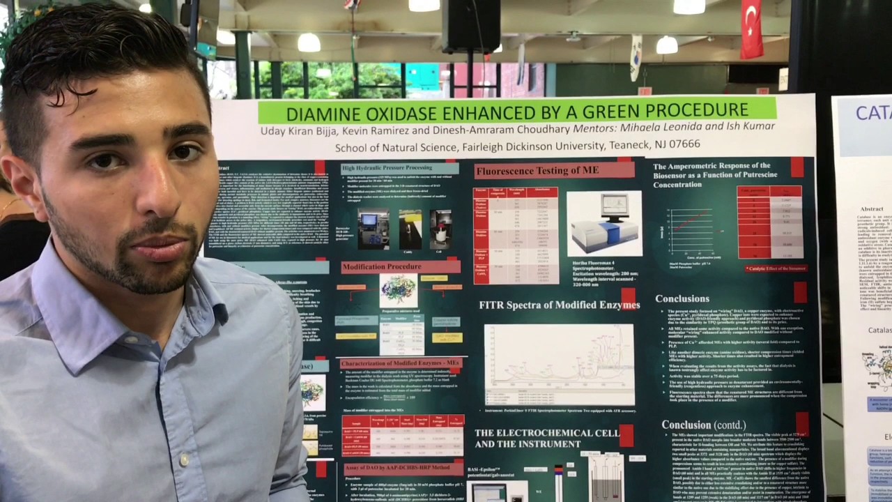 Diamine Oxidase Enhanced by a Green Procedure