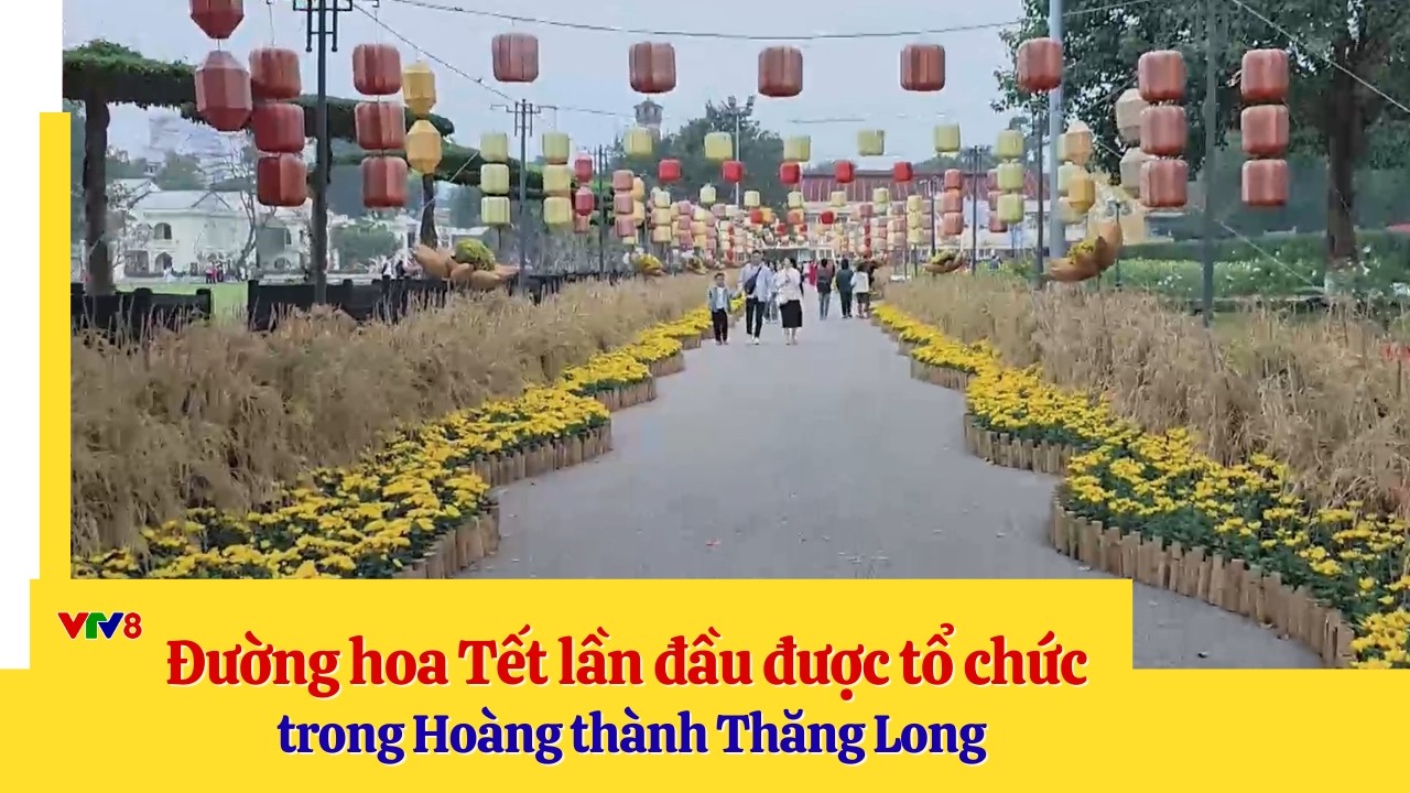 Đường hoa Tết lần đầu được tổ chức trong Hoàng thành Thăng Long