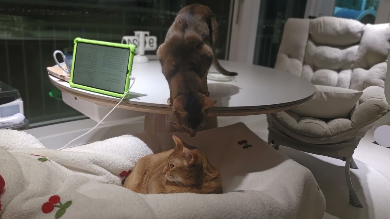 퇴근 후 휴식