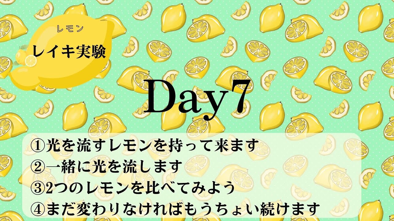 レモン レイキ実験　Day7