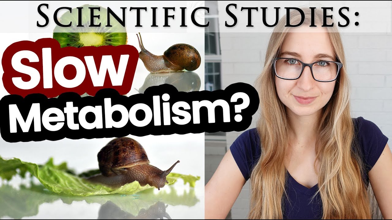 The Real Cause of Your Slow Metabolism: New Research You’ve Never Heard of (+ Post-Weight Loss)