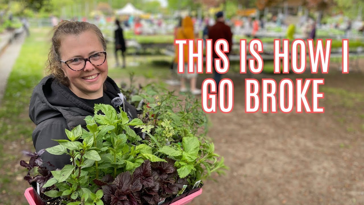 Insane Plant Haul at the Tilth May Edible Plant Sale!