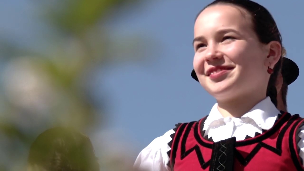Hazav&aacute;r&oacute; - P&aacute;l&oacute;czi - Bedőcs