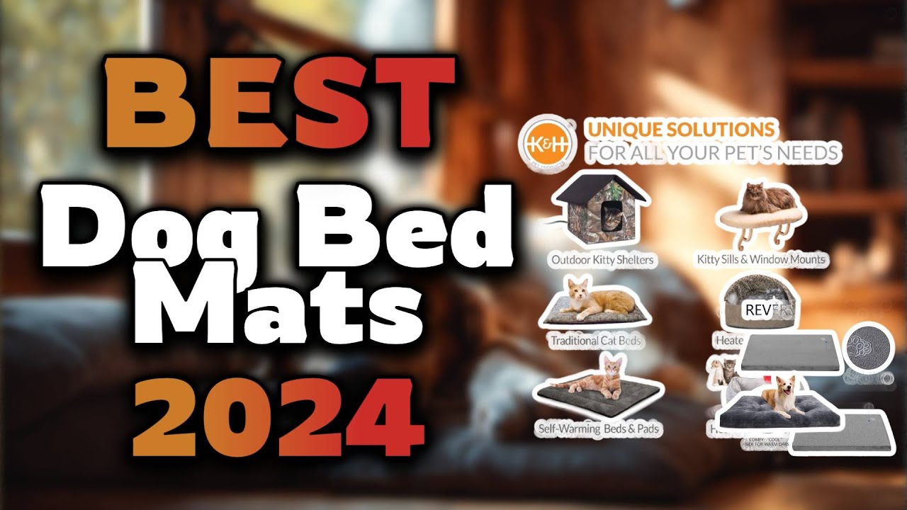 Top Best Dog Bed Mats in 2024 & Buying Guide - Must Watch Before Buying!