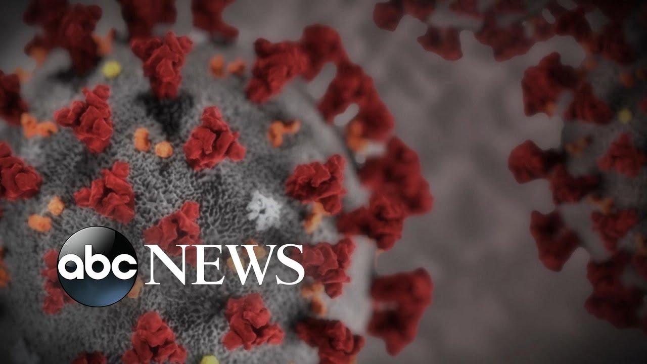 Covid-19 cases climb to 53 in the US | WNT