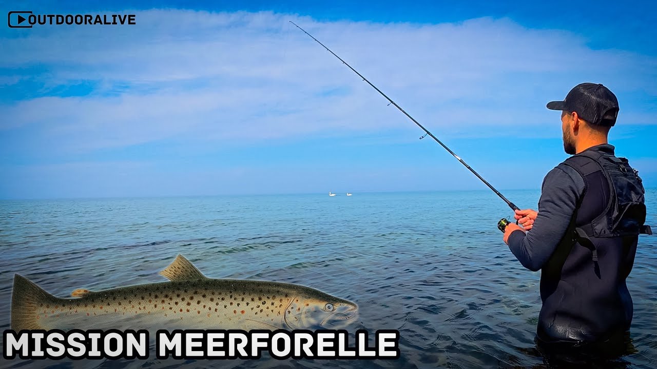 Mission Meerforelle - so habe ich die Ostsee noch nie erlebt 🌊 #angelvlog