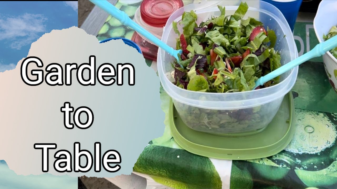 Garden to Table Salad Recipe 🥬🌿