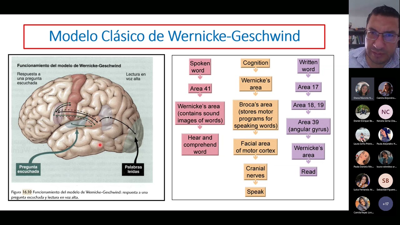 Modelo Clásico y Cognitivo del Lenguaje