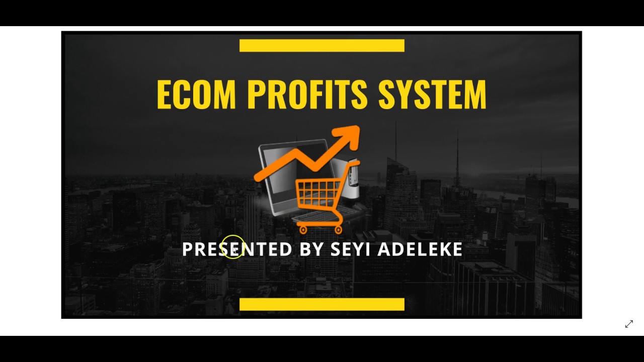 Ecom Profits System
