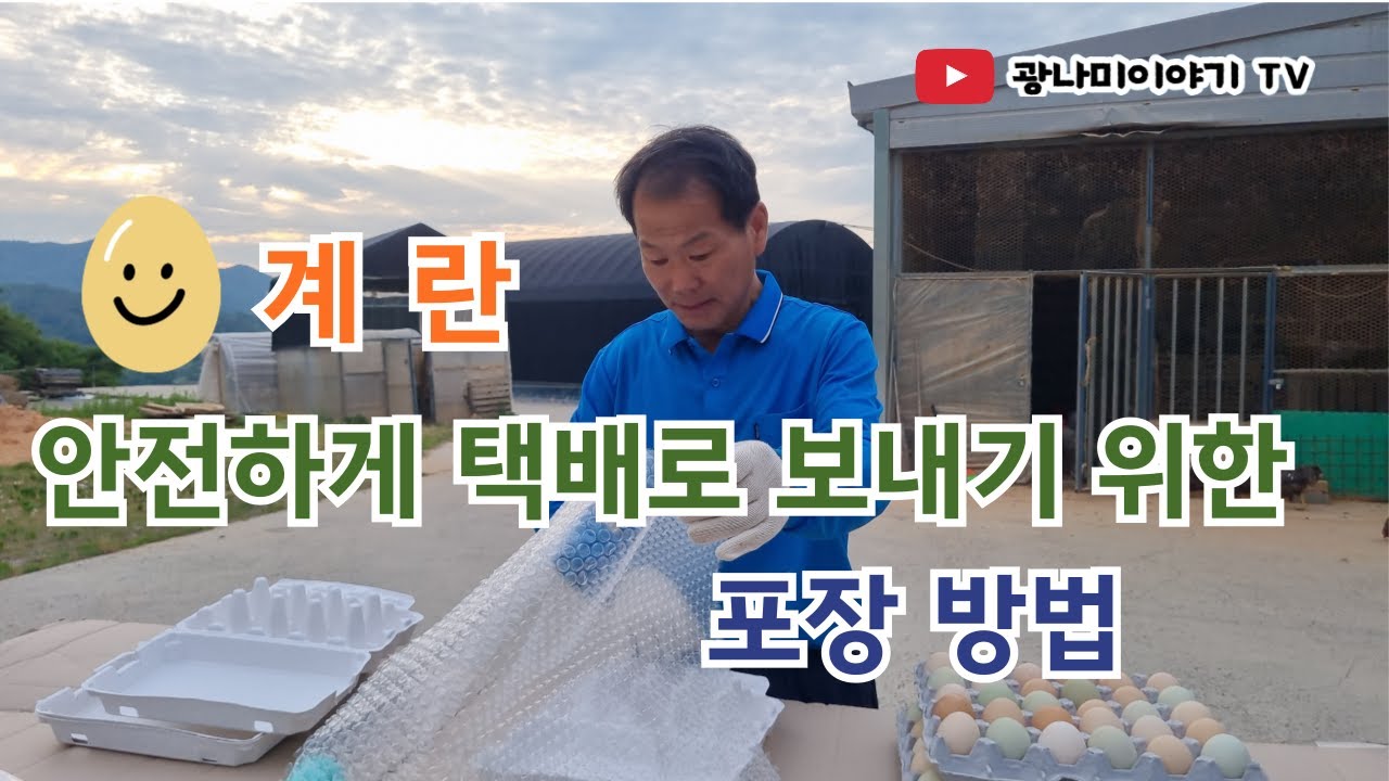 계란 안전하게 택배로 보내기 위한 포장방법