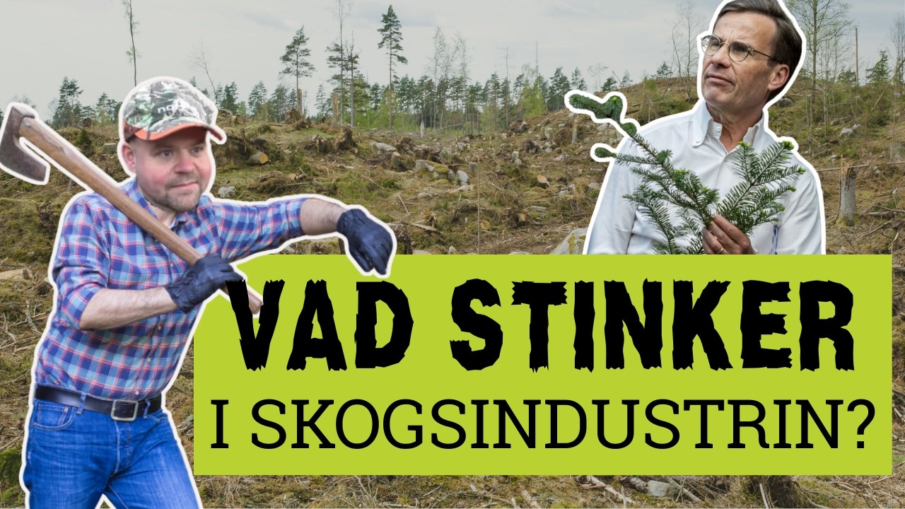 Vem förlorar på skogspolitiken?