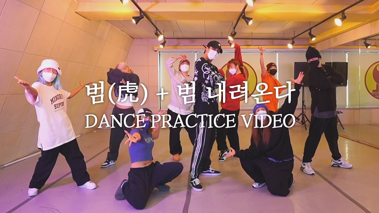 라비(RAVI) - 범(虎) + 범 내려온다 DANCE PRACTICE VIDEO