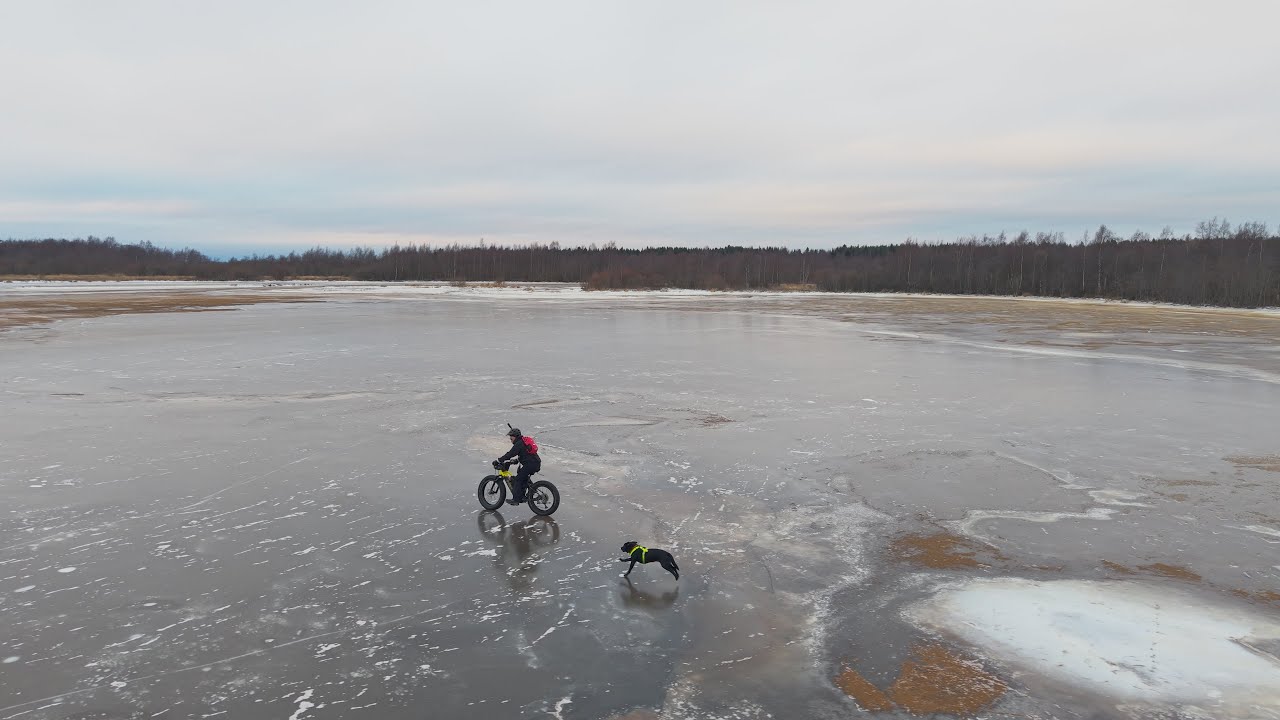 Testing Schwalbe Al Mighty fatbike spike tyres with my dog
