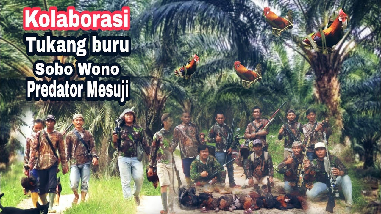 Rombongan sniper sumatra berburu ayam hutan langsung masak ditempat