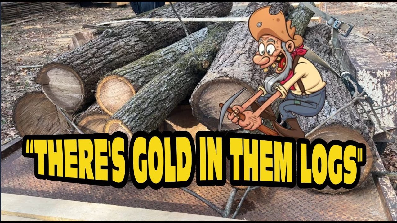 Most Valuable Tree in America?? Watch What's Inside!