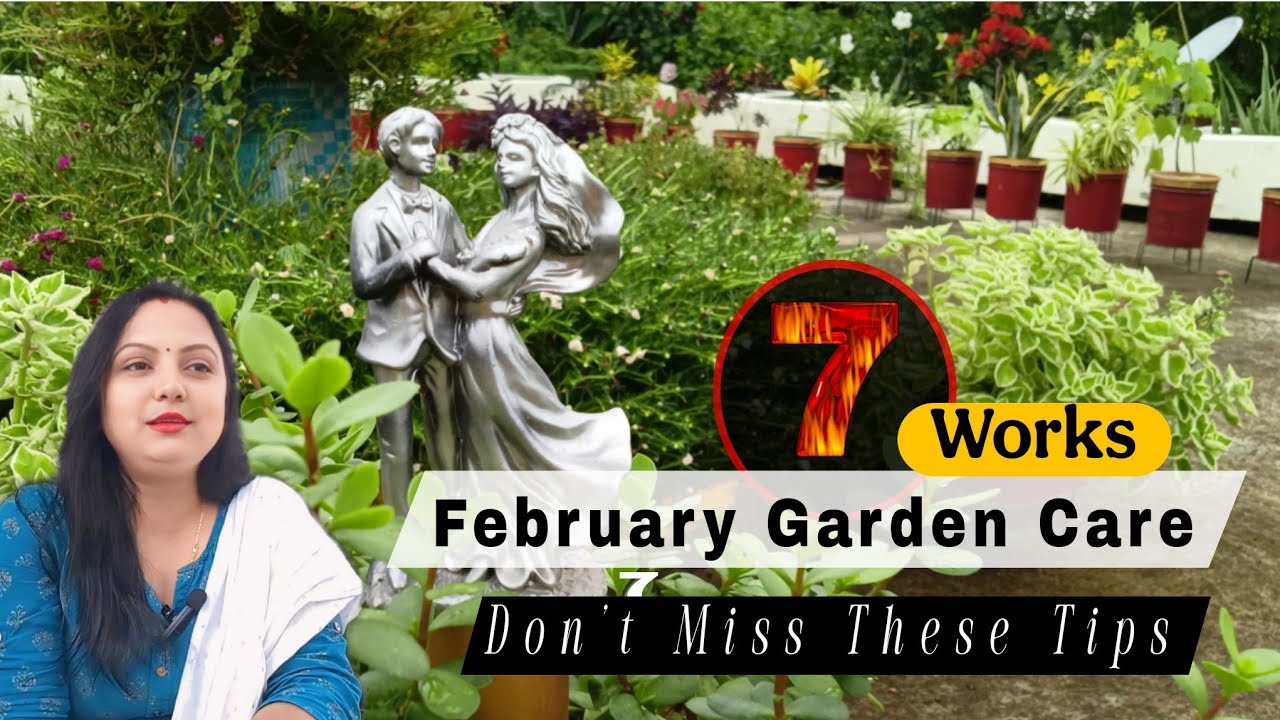 🔴February Garden Care Checklist | हर गार्डनर के लिए जरूरी #februarygarden #gardeningtips 