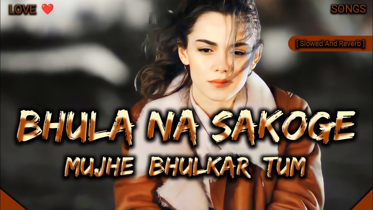 Bhula Na Sakoge Mujhe Bhulkar Tum | Slowed And Reverb | Lofi Songs Danish