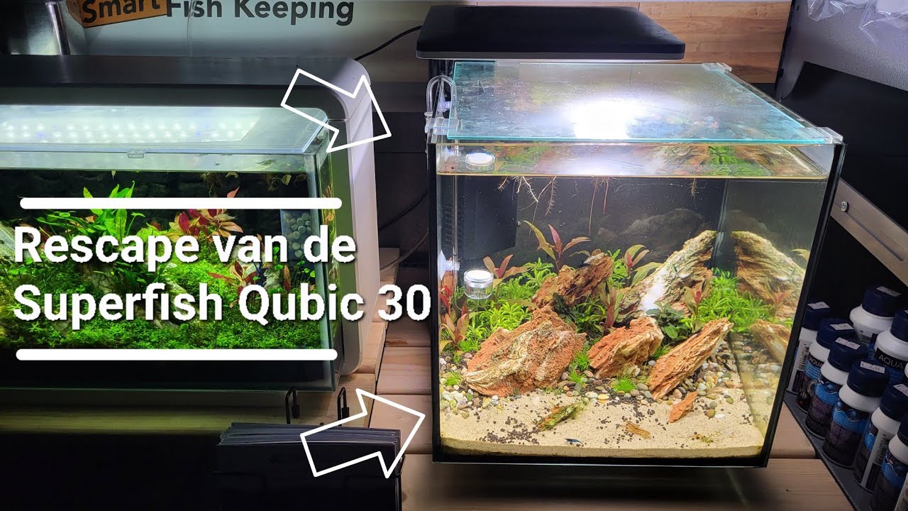 *Dutch* De Superfish Qubiq 30 Aquarium rescapen! | ExoticAquatica.nl